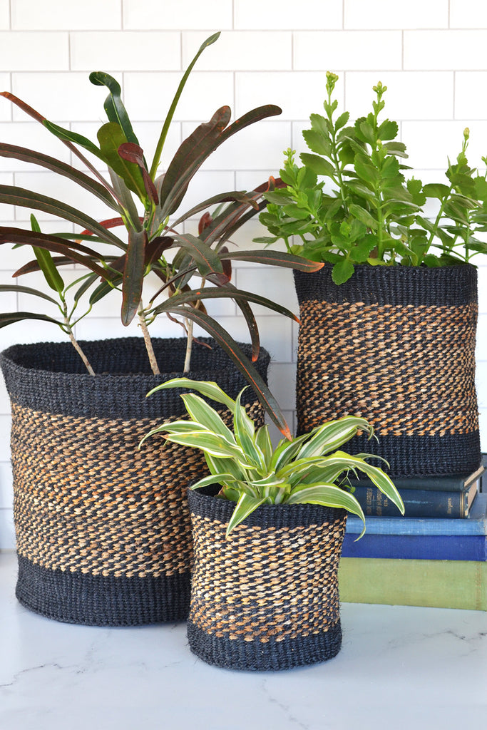 Set of 3 Sisal and Banana Fiber Storage and Planter African basket